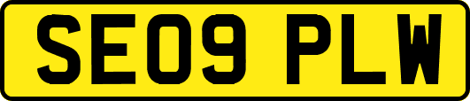 SE09PLW