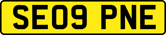 SE09PNE