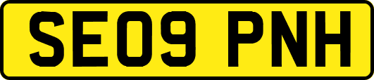 SE09PNH