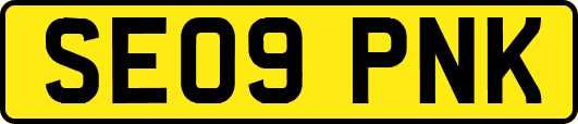 SE09PNK