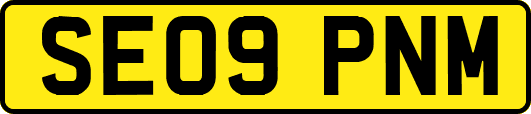 SE09PNM
