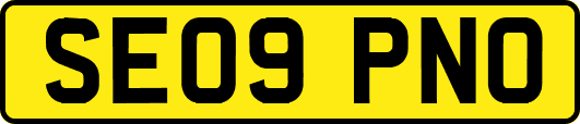 SE09PNO