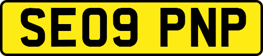 SE09PNP