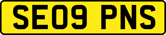 SE09PNS