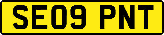 SE09PNT