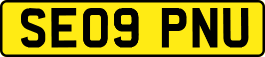 SE09PNU