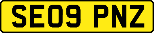 SE09PNZ