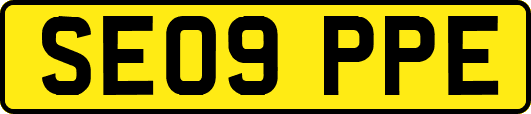 SE09PPE