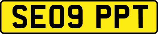 SE09PPT