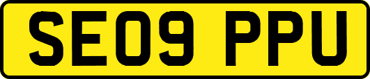 SE09PPU