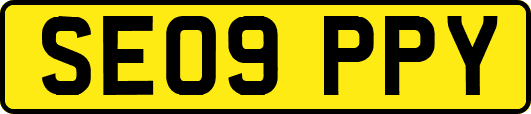 SE09PPY