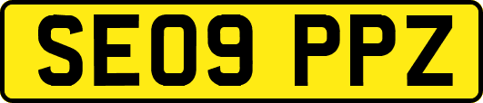 SE09PPZ