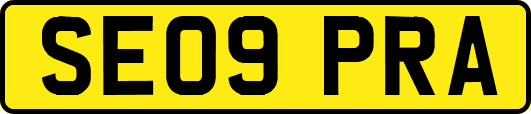 SE09PRA