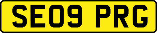 SE09PRG