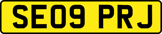 SE09PRJ