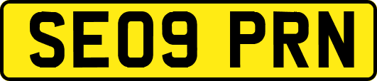 SE09PRN