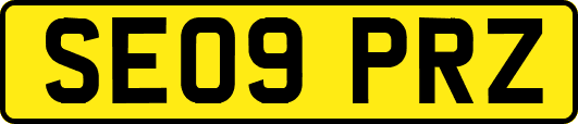 SE09PRZ