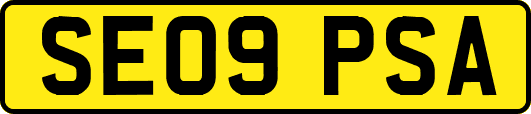 SE09PSA