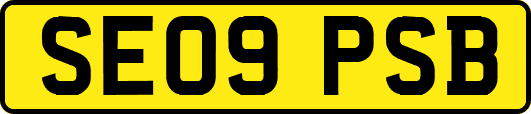 SE09PSB