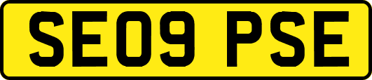 SE09PSE