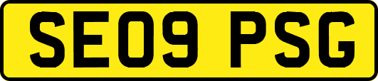 SE09PSG