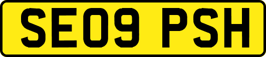 SE09PSH