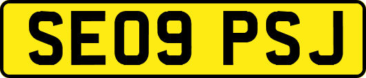 SE09PSJ