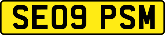 SE09PSM