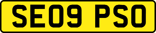 SE09PSO