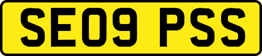 SE09PSS