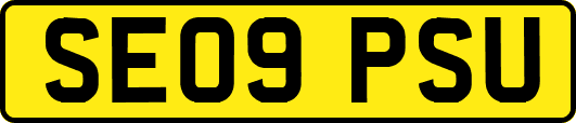 SE09PSU