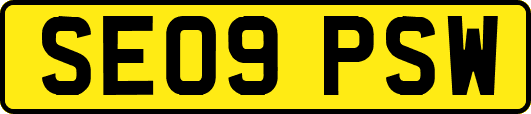 SE09PSW
