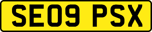 SE09PSX