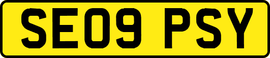 SE09PSY