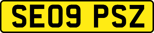 SE09PSZ