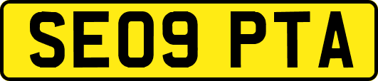 SE09PTA