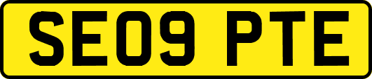 SE09PTE