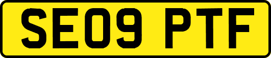SE09PTF