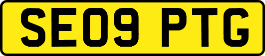 SE09PTG
