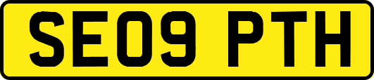SE09PTH