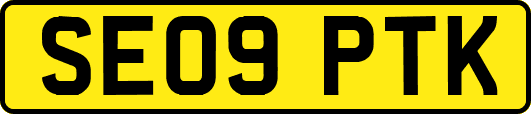 SE09PTK