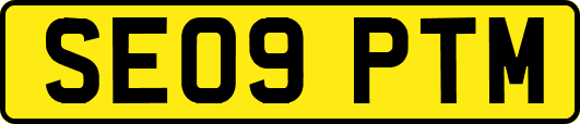 SE09PTM