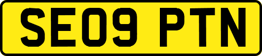 SE09PTN