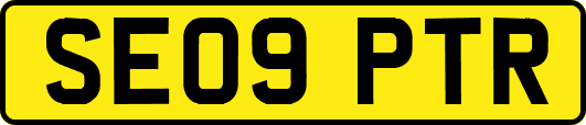 SE09PTR