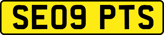 SE09PTS