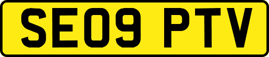 SE09PTV