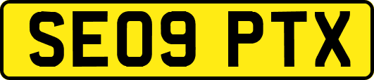SE09PTX