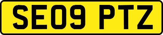 SE09PTZ