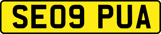 SE09PUA