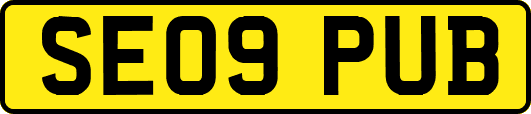 SE09PUB